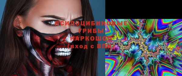 spice Алексин