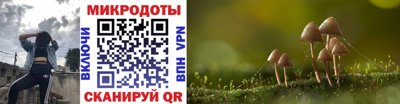 hydra как войти  Приморско-Ахтарск  Галлюциногенные грибы Psilocybe 